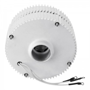 300w 400w 12v 24v 48v Permanent Magnet Generators For Wind Turbine
