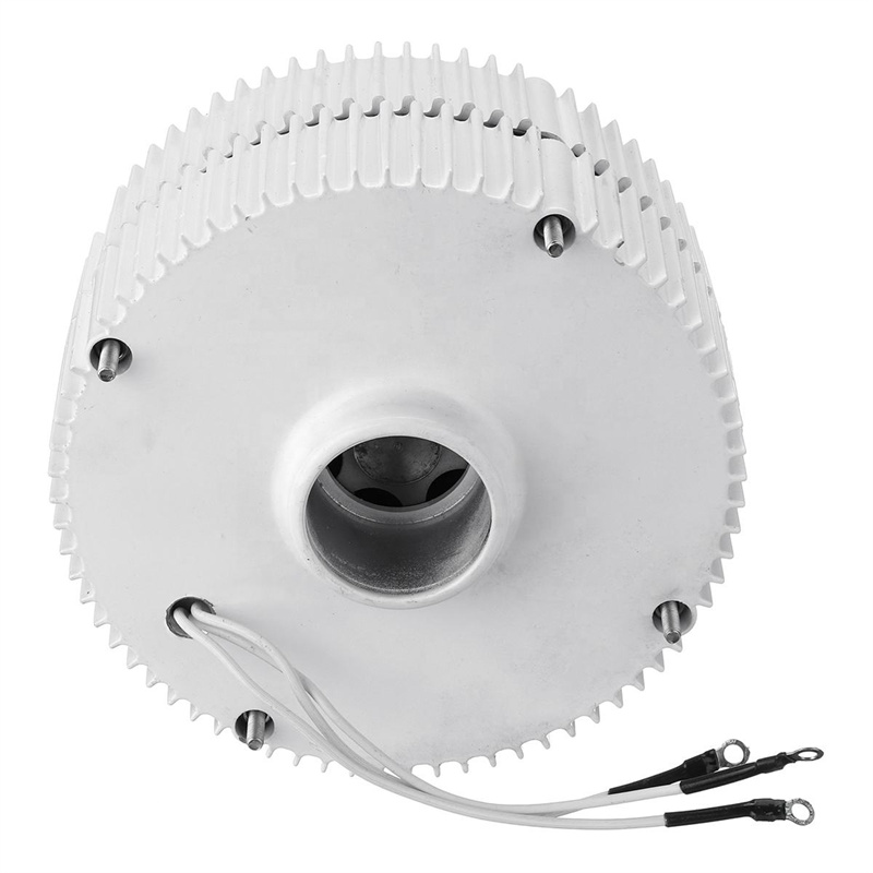 permanent magnet generator-2