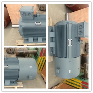 5kw Brushless High Speed Permanent Magnent Generator Motor