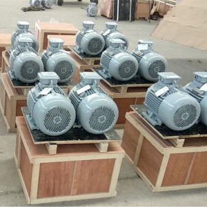 1-10kw Brushless High Speed Permanent Magnent Generator