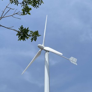 20kw 220v 380v Wind Solar Hybrid System Use Wind Turbine Generator
