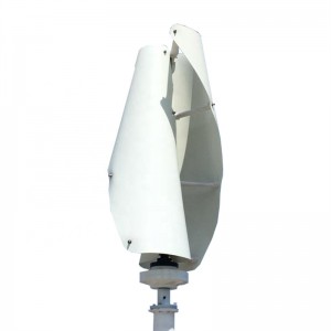 FS 1000W 2000W 3000W Vertical Helix Wind Turbine Generator For Home
