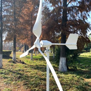 1kw 2kw 24v 48v Wind Power Generation Turbine Wind Generator for Home use