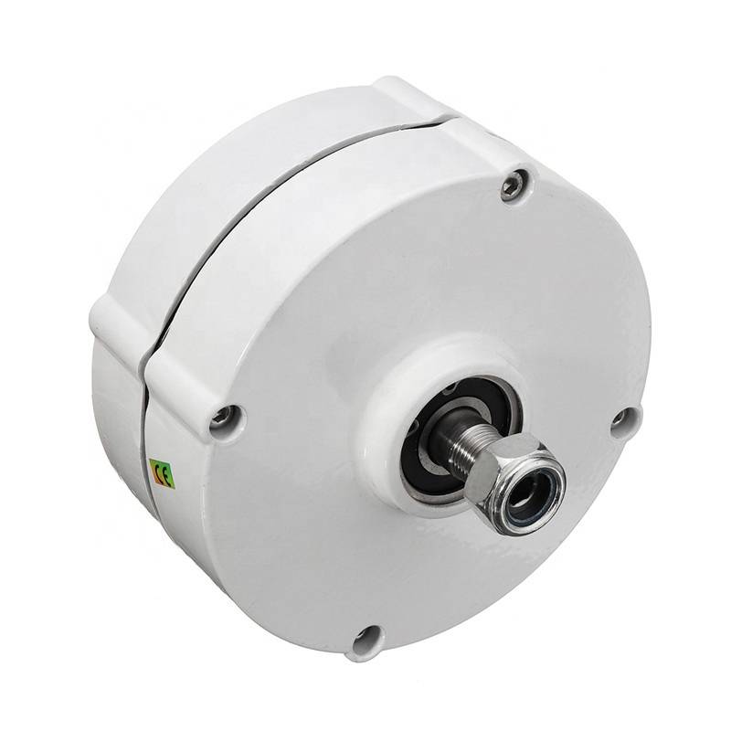 100W 200w 300w 12v 24v 48v alternative permanent magnet generators Featured Image