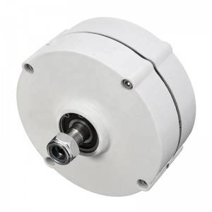 100W 200w 300w 12v 24v 48v alternative permanent magnet generators
