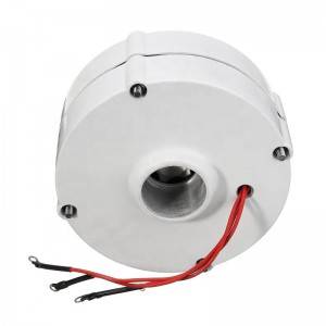 100W 200w 300w 12v 24v 48v alternative permanent magnet generators
