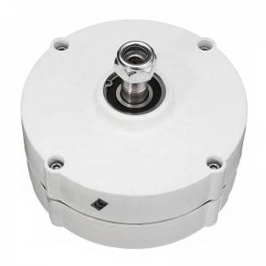100W 200w 300w 12v 24v 48v alternative permanent magnet generators