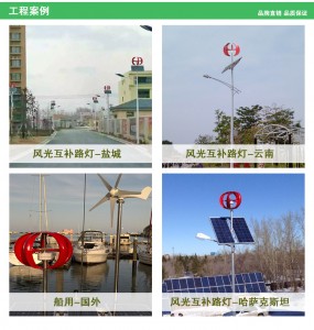 FR 400W 800W vertical wind turbine generator