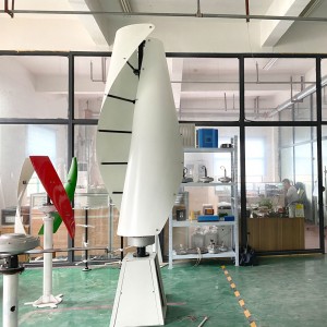 FS 1000W 2000W 3000W Vertical Helix Wind Turbine Generator For Home