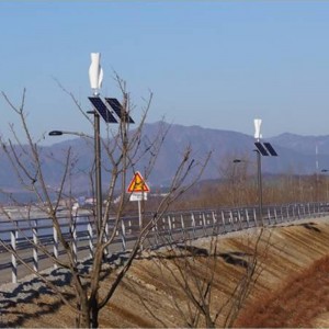 FS 100W-600W 12v 24v Vertical Wind Turbine